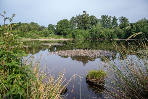 eichholzmaar foto jochen hank