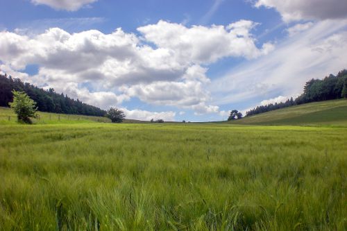 feld himmel